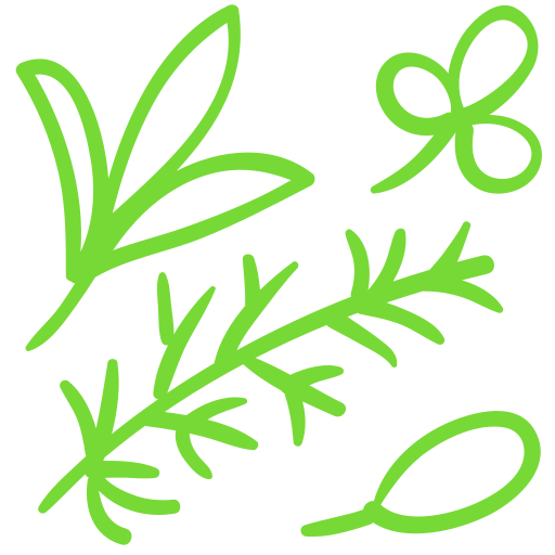 Aromatic herbs exported from Spain, fresh and premium quality