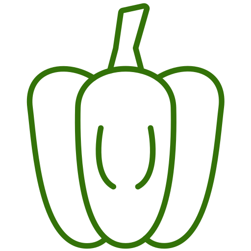 Fresh, premium bell peppers exported from Spain, high-quality vegetables