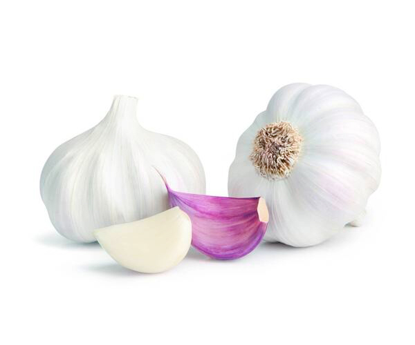 White and Purple Garlic