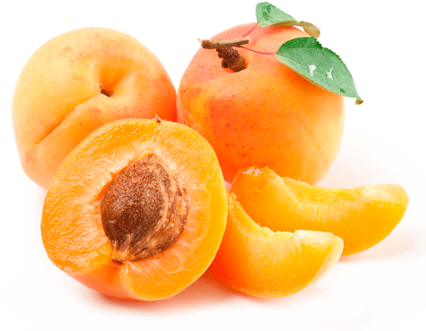 Apricot Galta roja, Pepito, Mogador, Mitger, Kyoto, Bergarouge