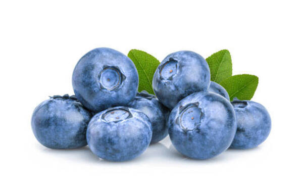Fresh Blueberry