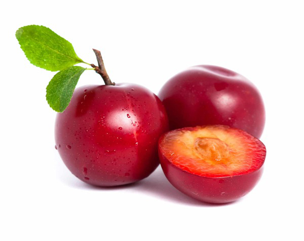 Plum Yellow, Red and Black