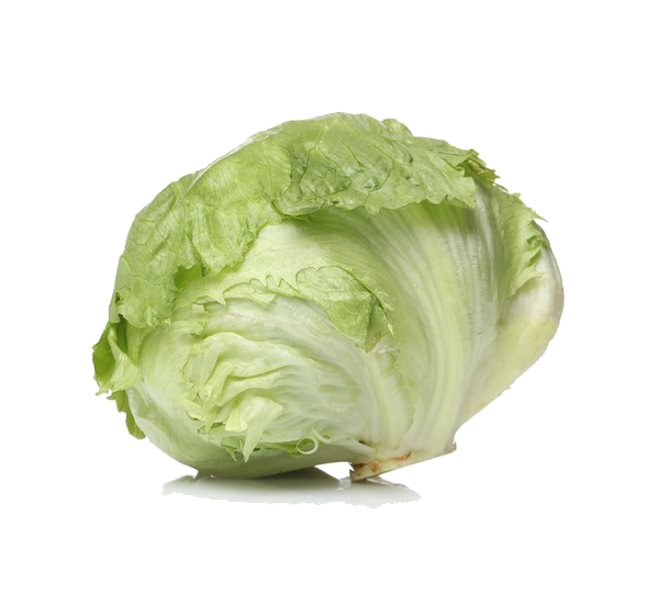 Iceberg and Romaine Lettuce