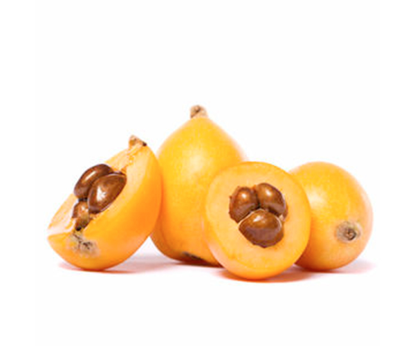 Loquat Algerie