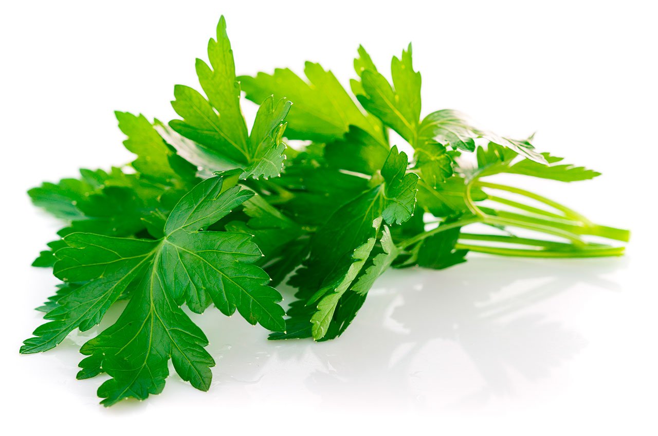 Fresh Parsley